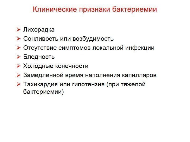 Клинические признаки бактериемии 